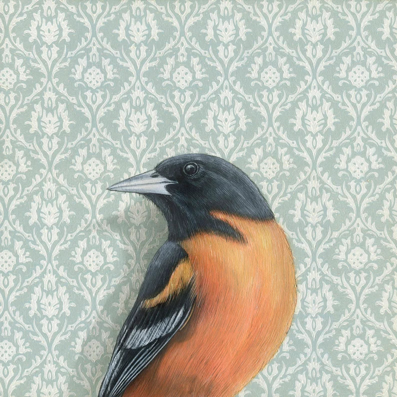 shop-all-the-latest-and-greatest-oriole-print-online-hot-sale_0.webp